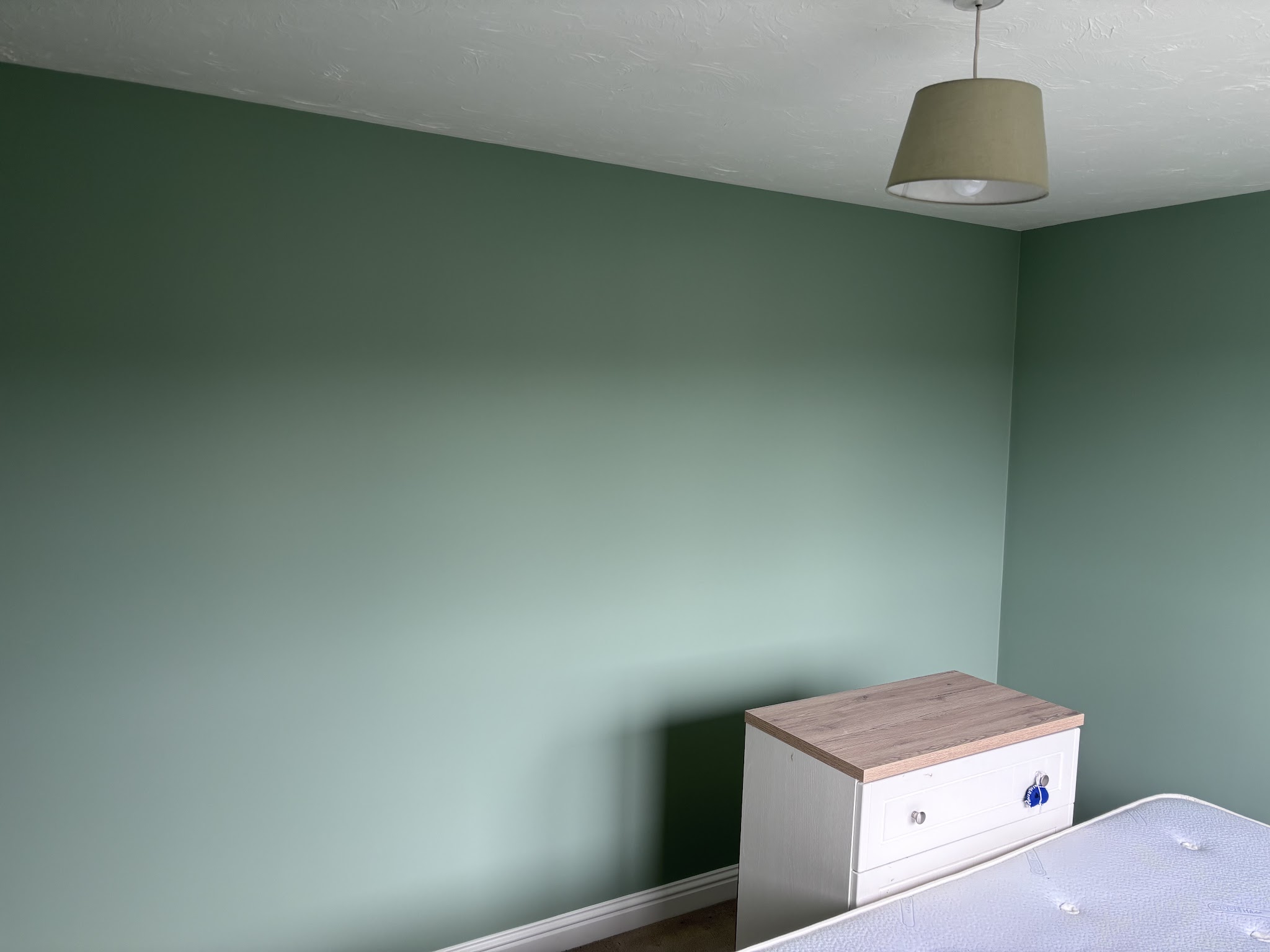 Soft green bedroom walls with white skirting and a clean painted finish